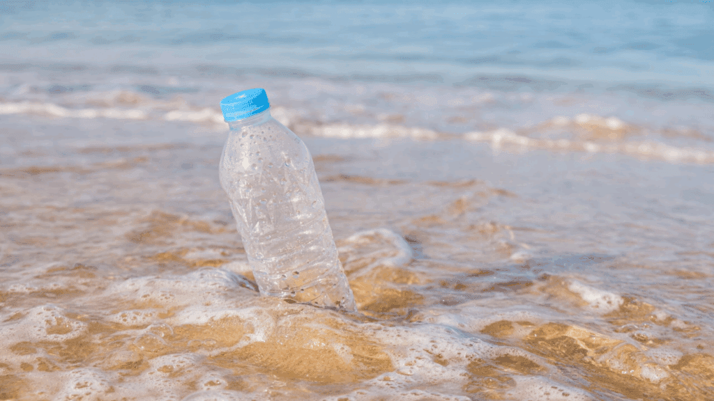 gestion des déchets