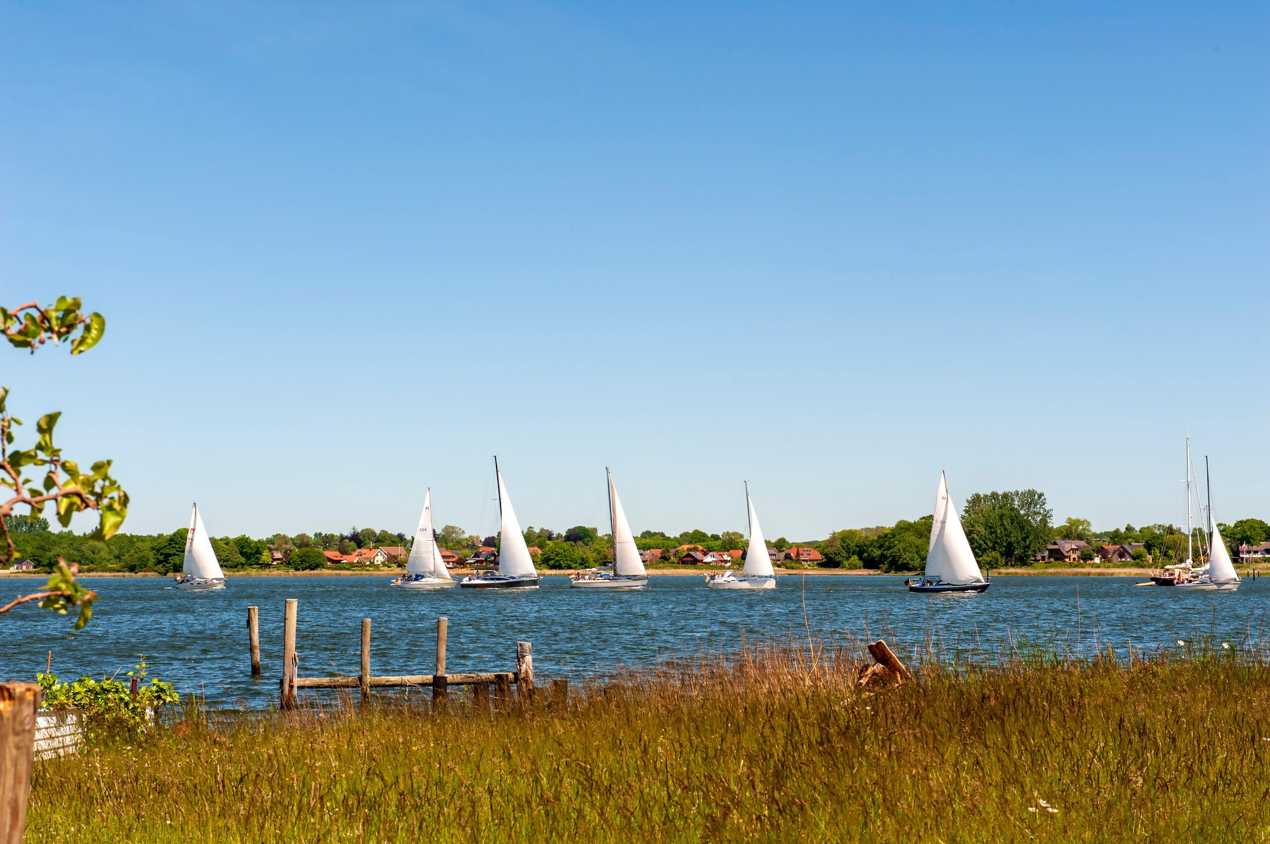 Zeilboten op de Schlei voor de stad Arnis, Sleeswijk-Holstein, Duitsland