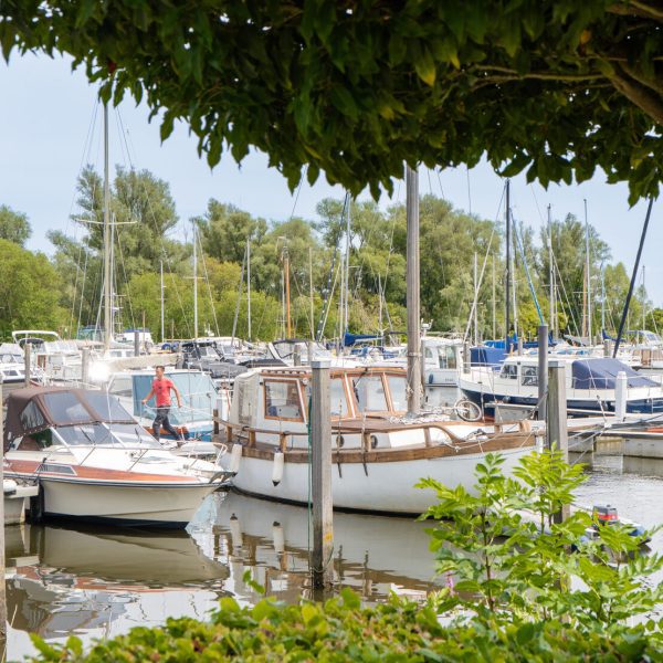 Steiger Jachthaven Strijensas